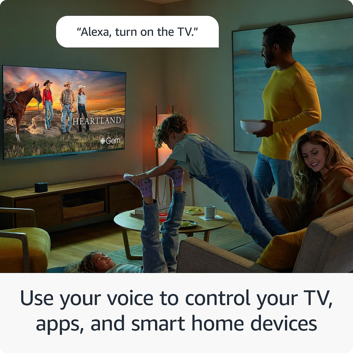 Fire TV Cube with  IR Extender Cable