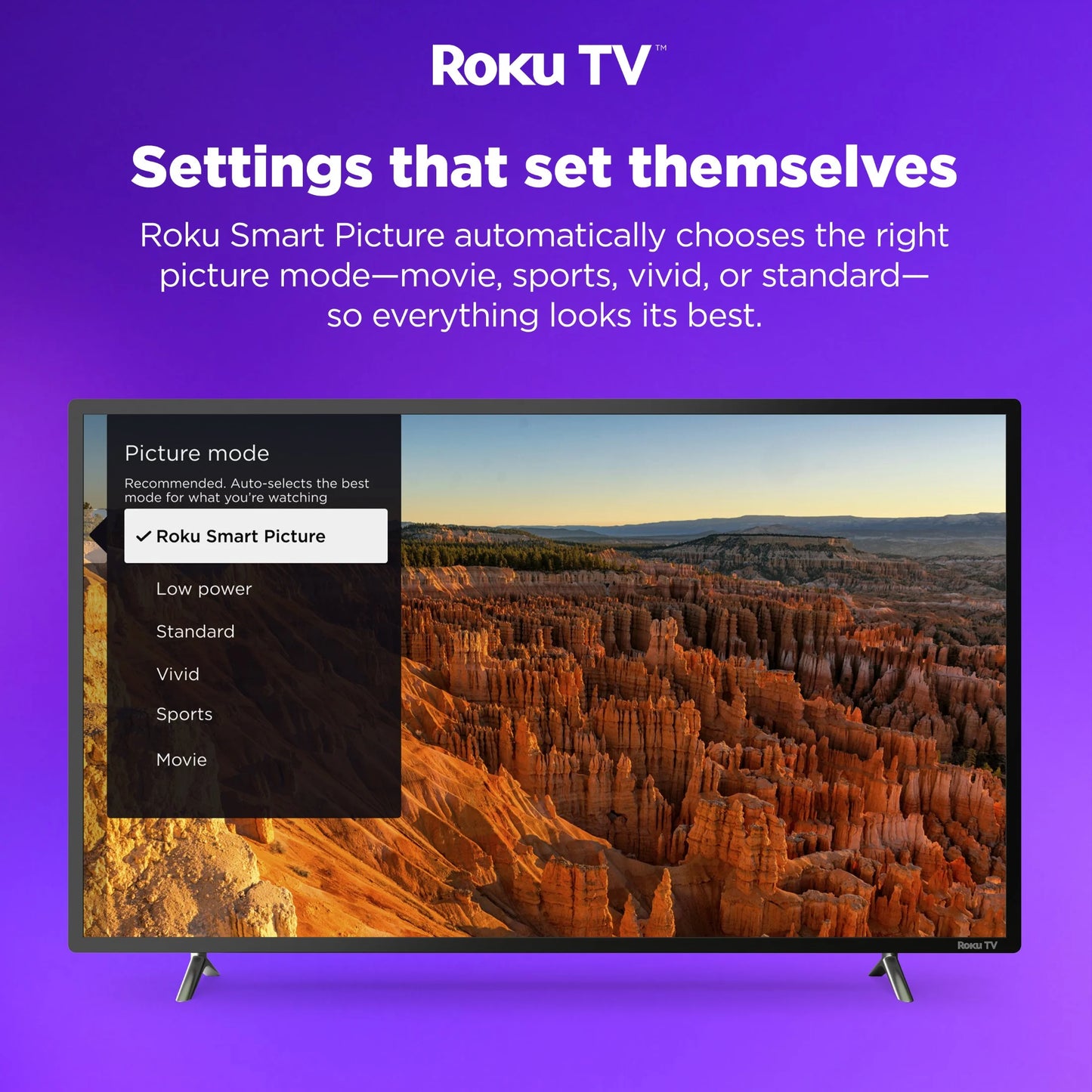 58" Class 4K UHD LED LCD Roku Smart TV HDR R6 Series 58R6E