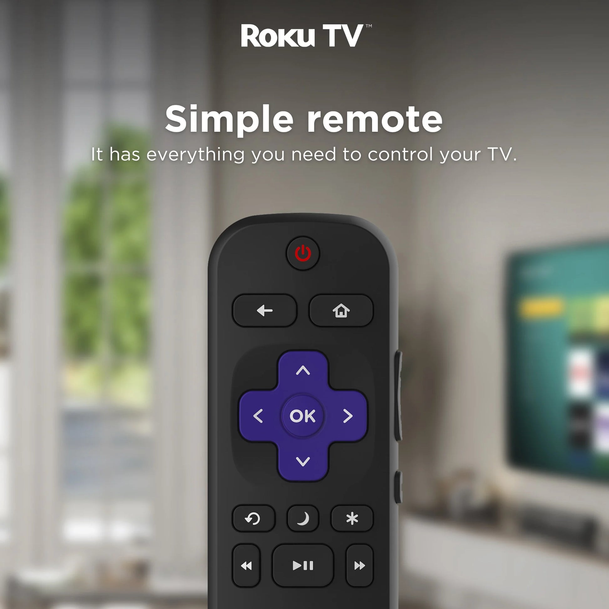 58" Class 4K UHD LED LCD Roku Smart TV HDR R6 Series 58R6E